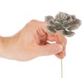 Planta artificial suculenta de cera com arame, 8 cm, 8 peças | Floristik24.pt