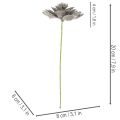 Planta artificial suculenta de cera com arame, 8 cm, 8 peças | Floristik24.pt