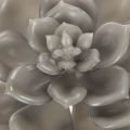 Planta artificial suculenta de cera com arame, 8 cm, 8 peças | Floristik24.pt