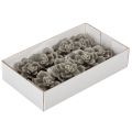 Planta artificial suculenta de