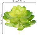 Planta suculenta artificial, verde, para decoração em vaso ou tigela, 10 cm, 4 peças | Floristik24.pt