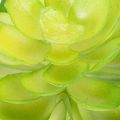 Planta suculenta artificial, verde, para decoração em vaso ou tigela, 10 cm, 4 peças | Floristik24.pt