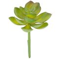 Floristik24 Planta suculenta verde artificial como decoração para arranjos criativos.
