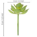 Planta suculenta verde artificial como decoração para arranjos criativos. | Floristik24.pt