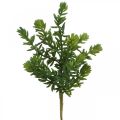 Floristik24 Planta verde artificial suculenta para colar 25cm verde 2pcs