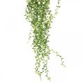 Floristik24 Suculenta planta suspensa artificial verde 96cm