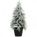 Floristik24 Abeto de inverno em uma panela, decoração de Natal, pinheiro com neve Alt.45cm