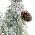 Floristik24 Abetos com neve, decoração do Advento, floresta de inverno L16,5cm A28cm