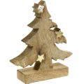 Floristik24 Árvore de natal, madeira de manga, deco natural, árvore de natal, 20 × 18 × 5cm