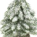 Floristik24 Árvore de Natal com neve, decoração de Natal, abeto decorativo Alt.14cm