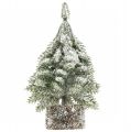 Floristik24 Árvore de Natal com neve, decoração de Natal, abeto decorativo Alt.14cm