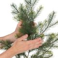Ramo de pinheiro artificial decorativo para arranjos florais criativos, 175 cm | Floristik24.pt