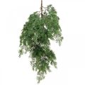 Floristik24 Ramo de cipreste artificial verde para pendurar em 5 ramos decorativos de 75 cm