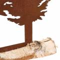 Floristik24 Silhueta de abeto patina em tronco de bétula 41 cm x 36 cm