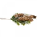 Floristik24 Verde de abeto com cones, decoração de inverno, ramo de abeto para pendurar, decoração de cone nevado L33cm
