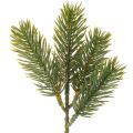 Floristik24 Ramo de pinheiro artificial verde para decoração de inverno, 25 cm, 24 peças