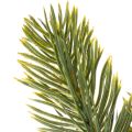 Ramo de pinheiro artificial verde para decoração de inverno, 25 cm, 24 peças | Floristik24.pt