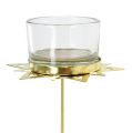 Floristik24 Suporte de luz de chá estrela de ouro 23,5 cm 4 peças
