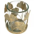 Floristik24 Suporte de luz de chá ginkgo folhas de ouro ginkgo castiçal decoração de mesa Ø8.5cm