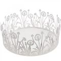Floristik24 Bandeja decorativa com dentes-de-leão, decoração em metal para primavera branco, prata shabby chic Ø25cm A10,5cm