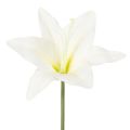 Floristik24 Flores artificiais de lírio-tigre branco para vasos e arranjos, ramo de 29 cm com 6 unidades.