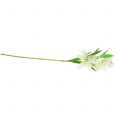 Floristik24 Lily branco 58cm
