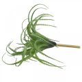 Floristik24 Aloe artificial planta artificial verde para colar planta verde 38Øcm