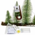 Floristik24 Decoração de mesa de floresta de inverno com LED verde 100cm 60L