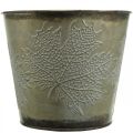 Floristik24 Balde para plantas com decoração de folhas, vaso de metal, outono dourado Ø18cm Alt.17cm