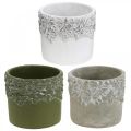Floristik24 Vaso de cerâmica, vaso de flores com decoração em carvalho, vaso para plantas verde / branco / cinza Ø13cm A11,5cm conjunto de 3