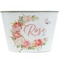 Floristik24 Floreira, vaso decorativo rosas, floreira C19cm A12,5cm