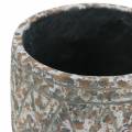 Floristik24 Vaso para plantas concreto antigo cinza / branco Ø11cm Alt.10.5cm 6pcs