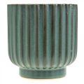 Floristik24 Vaso de planta, vaso de cerâmica, plantador de papelão verde, marrom Ø11,5cm A12,5cm