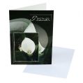 Floristik24 Cartões de luto com Calla &quot;Em luto silencioso&quot; 5 unidades