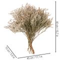 Ramo de lavanda-da-praia seca, Statice natural, 1kg | Floristik24.pt