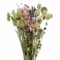 Floristik24 Buquê de capim selvagem com flores de palha flores secas 70g