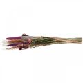 Floristik24 Flores secas Bouquet de flores do prado rosa e cereais 70-75cm