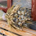 Floristik24 Cápsulas de sementes de papoila secas flores secas naturais papoula deco 90g