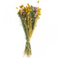 Floristik24 Ramo de flores secas Ramo de flores secas Buquê de flores do prado 58cm