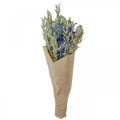 Floristik24 Ramo de flores secas Ramo de flores de prado azul A50cm 100g