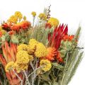 Floristik24 Ramo de flores secas Ramo de flores de campo Laranja A50cm 300g