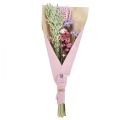 Floristik24 Buquê de flores secas flores de palha praia lilás rosa 58cm