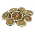 Floristik24 Fatias de limão verde 500g de rodelas de limão