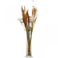 Floristik24 Conjunto faça você mesmo com flores secas para secar buquê laranja 60 cm