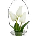 Floristik24 Tulipa branca em vidro Alt.21cm 1p