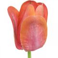 Floristik24 Tulipa flor artificial vermelha, laranja Flor artificial da primavera H67cm