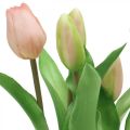 Floristik24 Tulipa rosa, verde em vaso Planta artificial em vaso Tulipa decorativa H23cm