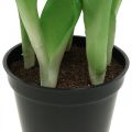 Floristik24 Tulipa rosa, verde em vaso Planta artificial em vaso Tulipa decorativa H23cm