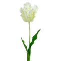 Floristik24 Tulipa branca artificial de 70 cm