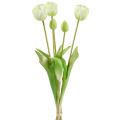 Floristik24 Decoração de flores em creme Real-Touch de tulipas L43,5 cm 5 unidades